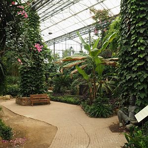 View in Tropical hall (Aug 28th, 2018)