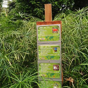 Signs free-ranging birds and vegetation (Aug 28th, 2018)
