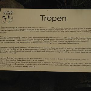 Sign Tropical hall (Aug 28th, 2018)