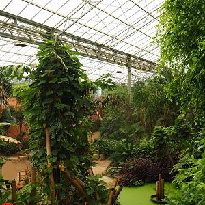 View in the Tropical hall (Aug 28th, 2018)