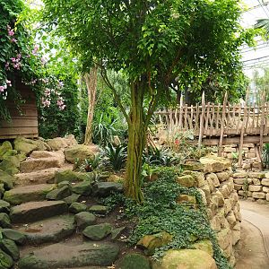 View in the Tropical hall (Aug 28th, 2018)