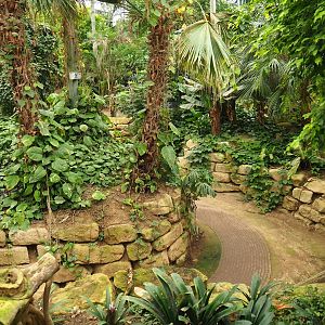 View in the Tropical hall (Aug 28th, 2018)