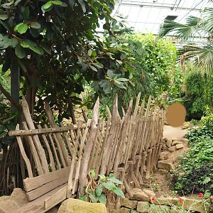 Bridge in the Tropical hall (Aug 28th, 2018)