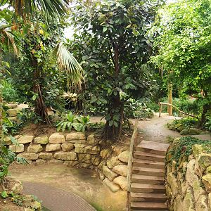 View in Tropical hall (Aug 28th, 2018)