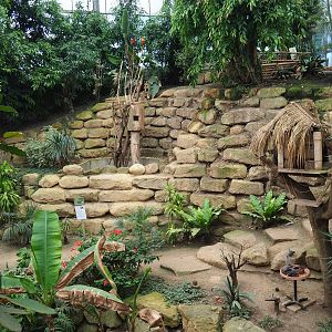 View in Tropical hall with macaw exhibit, bird feeding place and bird shack (Aug 28th, 2018)