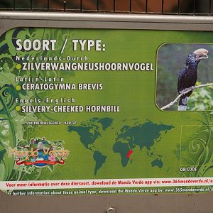 Sign Silvery-cheeked hornbill (Aug 28th, 2018)
