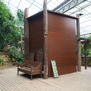Elevator shack and viewing deck in the Tropical hall (Aug 28th, 2018)