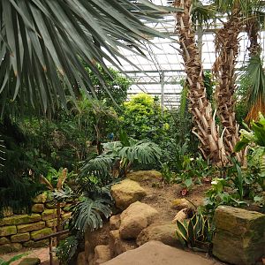 View in Tropical hall (Aug 28th, 2018)