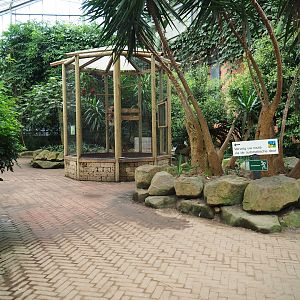 View in the Tropical hall (Aug 28th, 2018)