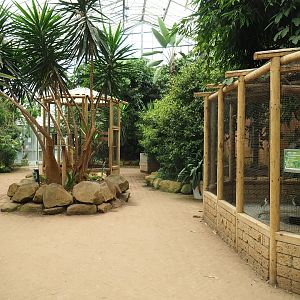 View in the Tropical hall (Aug 28th, 2018)