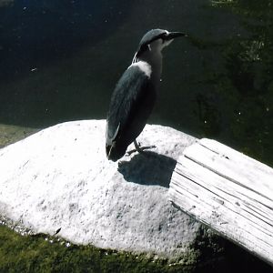 Can somebody identify i took these in 2016