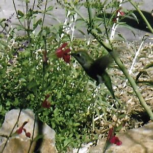 Can somebody identify i took these in 2016