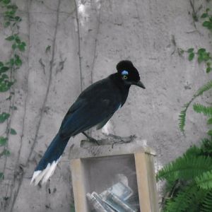 Can somebody identify i took these in 2016