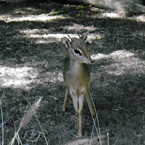 Can somebody identify i took these in 2016