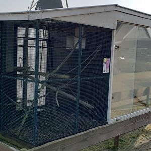 Common marmoset enclosure
