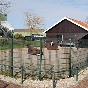 Llama enclosure