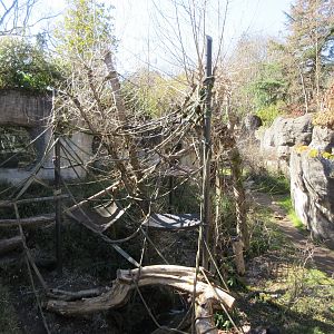 Orangutan Exhibit