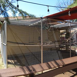 Common Marmoset/Tamandua Exhibit