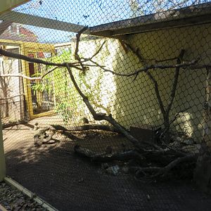 Roadrunner/Burrowing Owl Exhibit