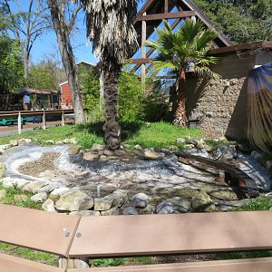 Weird Non-Exhibit Area