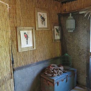 Bird Observation Hut