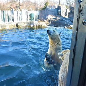 View from glass viewing window at the top of the complex.