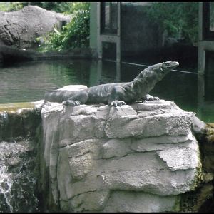 Can somebody identify