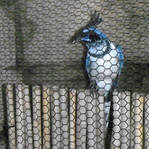 Can somebody identify