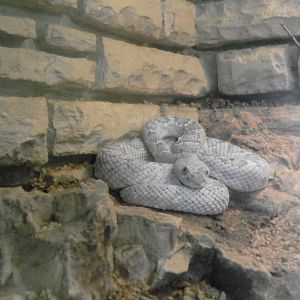 Can somebody identify