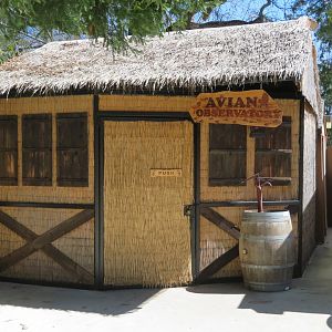 Bird Observation Hut