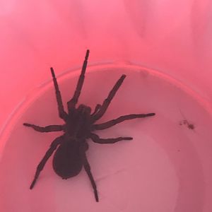 Can somebody identify