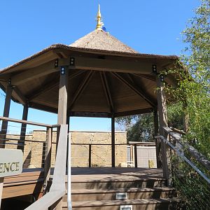 New Red Panda Exhibit Viewing Platform