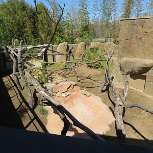 New Red Panda Exhibit