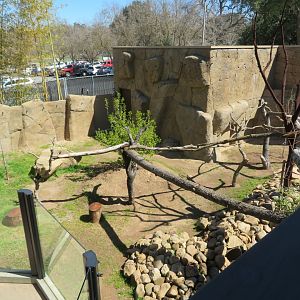 New Red Panda Exhibit