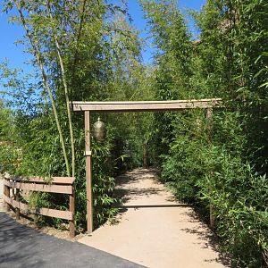 New Red Panda Side Trail