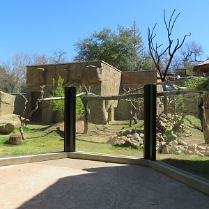 New Red Panda Exhibit
