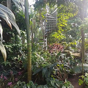 Stair-way to the hanging-bridge