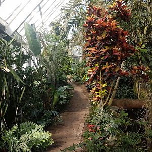 View into the Bird walk-through Hall