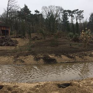 Construction progress (lemur island)