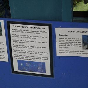 Spadefish Signage