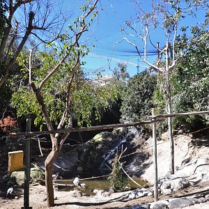 Bird Canyon at Selwo Aventura, 13/03/19