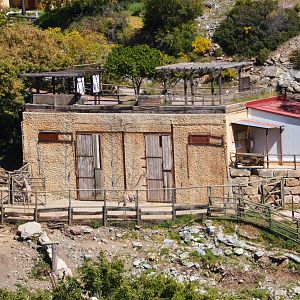 Angolan Giraffe House at Selwo Aventura, 13/03/19