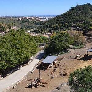 Lake Reserve View at Selwo Aventura, 13/03/19