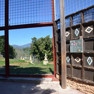 African Lion Enclosure at Selwo Aventura, 13/03/19