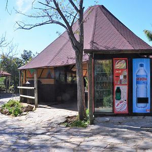 Vivarium at Selwo Aventura, 13/03/19