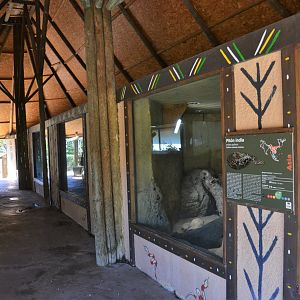 Vivarium at Selwo Aventura, 13/03/19