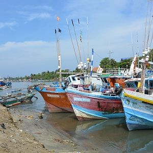 Larger fishing boats