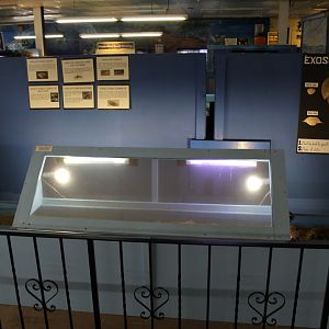 Empty Fiddler Crab Display