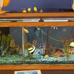 Finding Nemo Tank