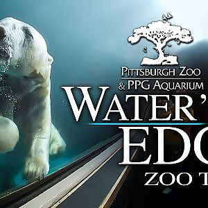 The Water's Edge | Zoo Tours